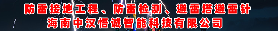 海南中漢悟誠(chéng)智能科技有限公司