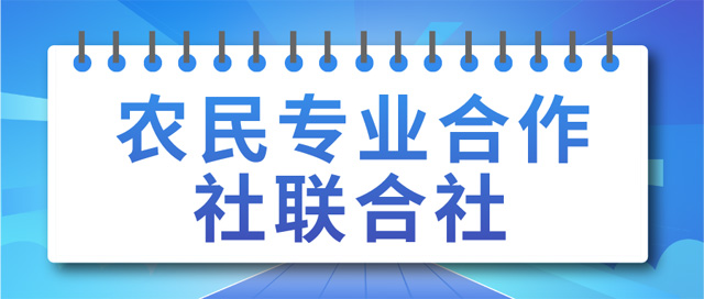 r(nng)񌣘I(y)(lin)O(sh)ӛlʲô